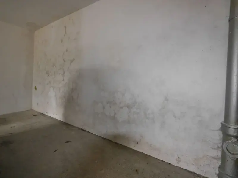 Feuchte Kellerwand mit dunklen Flecken im unteren Bereich